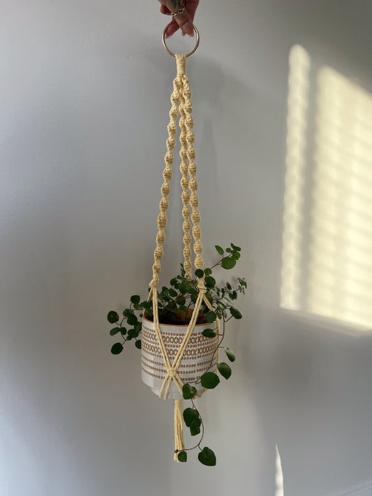 Plant Hanger - Yellow