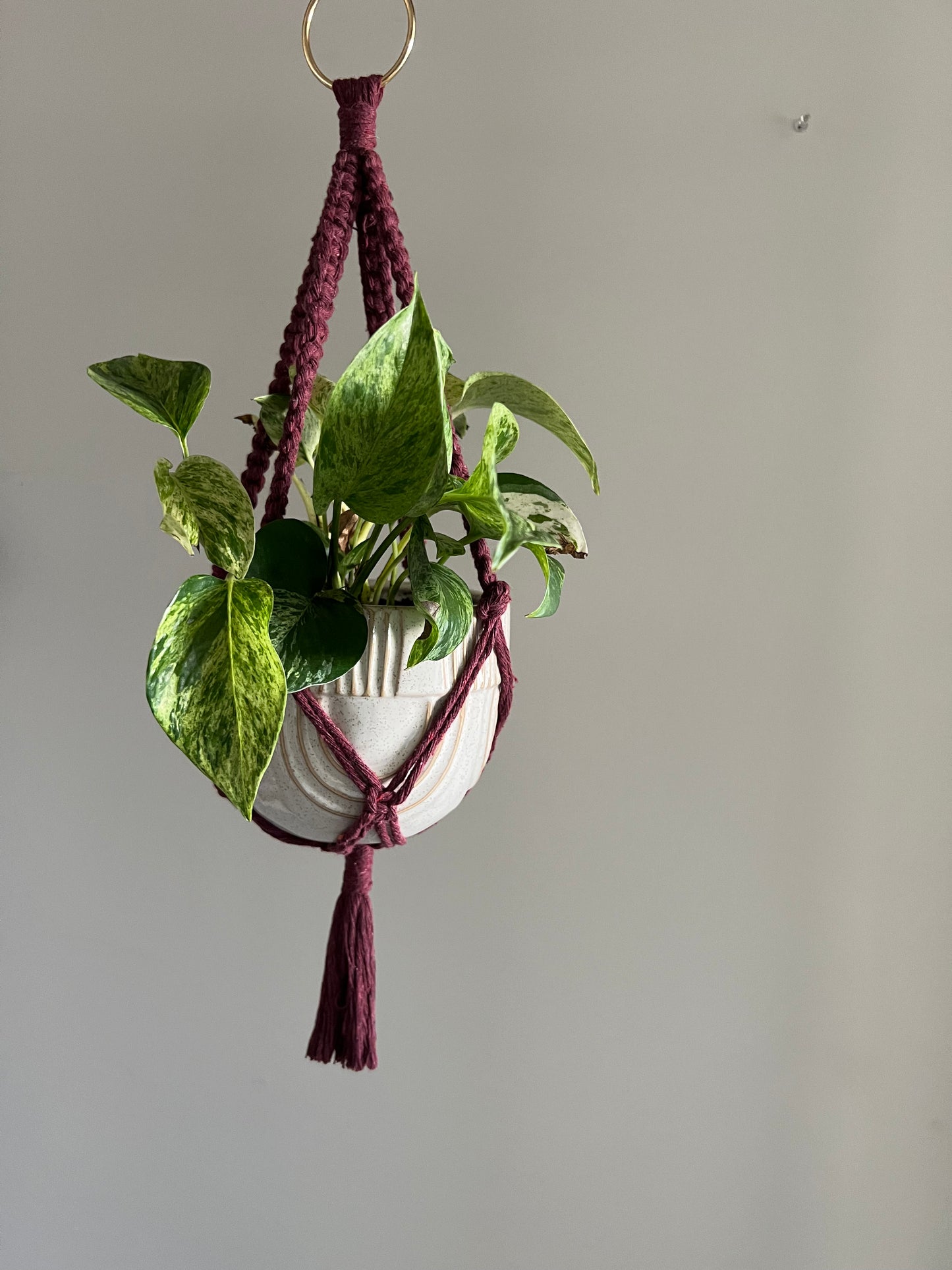 Crimson Mini Plant Hanger