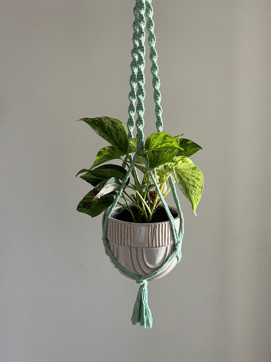 Mint Plant Hanger