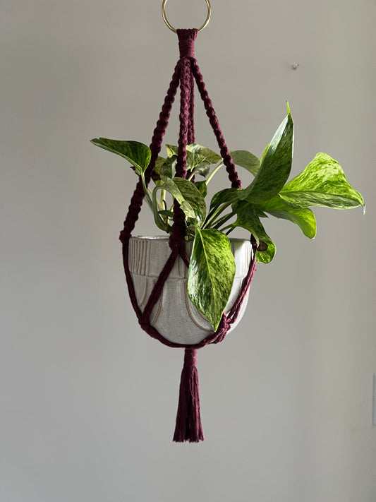 Crimson Mini Plant Hanger